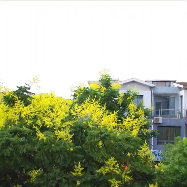 Шанхай: Haizhijia International Youth Hostel (Shanghai Hongqiao Railway Station)