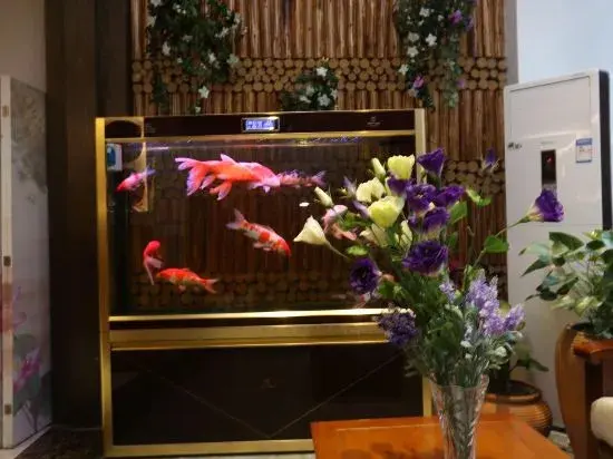 Чэнду: West Ring Hotel (Chengdu Women and Children Hospital Zhongba Subway Station)