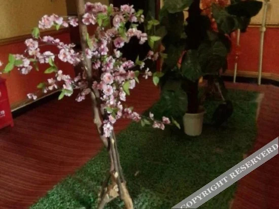 Чэнду: Xigang Business Hotel