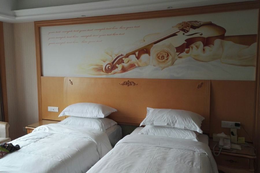 Шэньчжэнь: Vienna International Hotel (Shenzhen East Station, Ha Shui Keng Subway store)