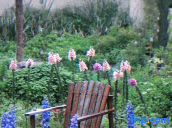 Хучжоу: Xishan Haraju Vanilla Forest Wentang Meisu (Moganshan Resort)