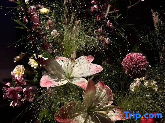 Хучжоу: Xishan Haraju Vanilla Forest Wentang Meisu (Moganshan Resort)