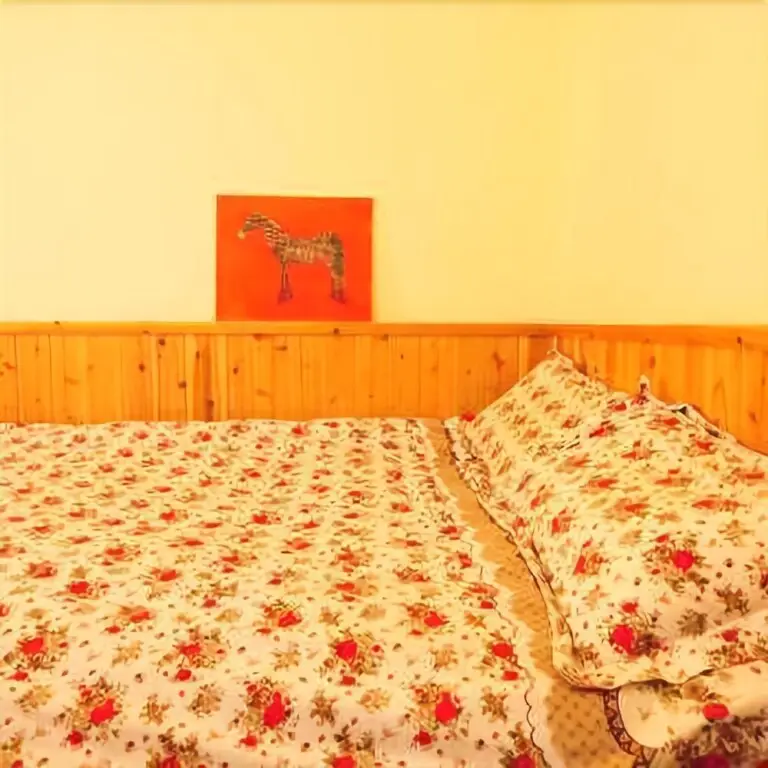 Дали: Letu International Hostel