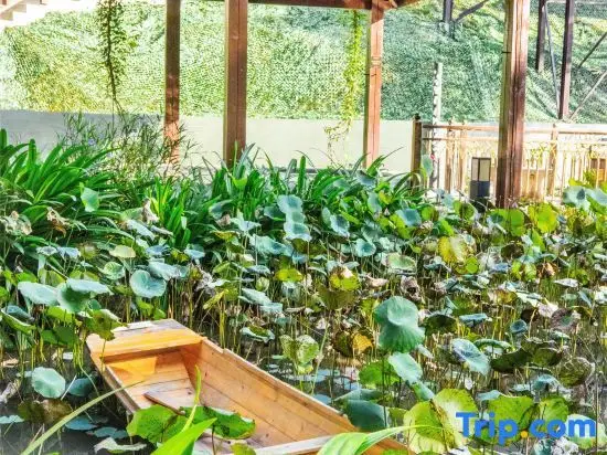 Фучжоу: Huiya Hot Spring Boutique Hotel