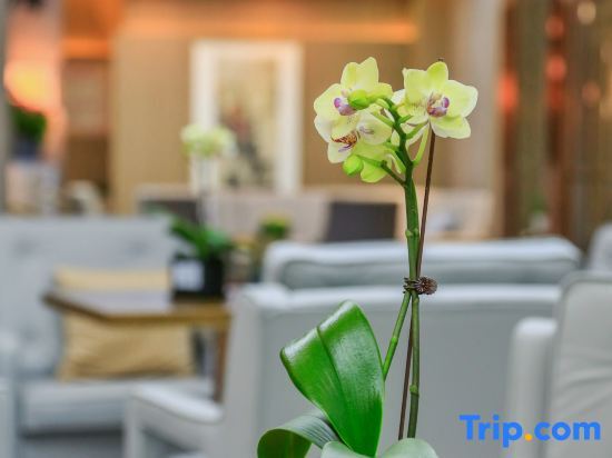 Хучжоу: Changshuo Impression Hotel (Anji Wanxiang World Shopping Plaza)