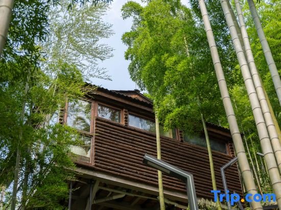 Хучжоу: Xicen Summer House on Mogan Mountain