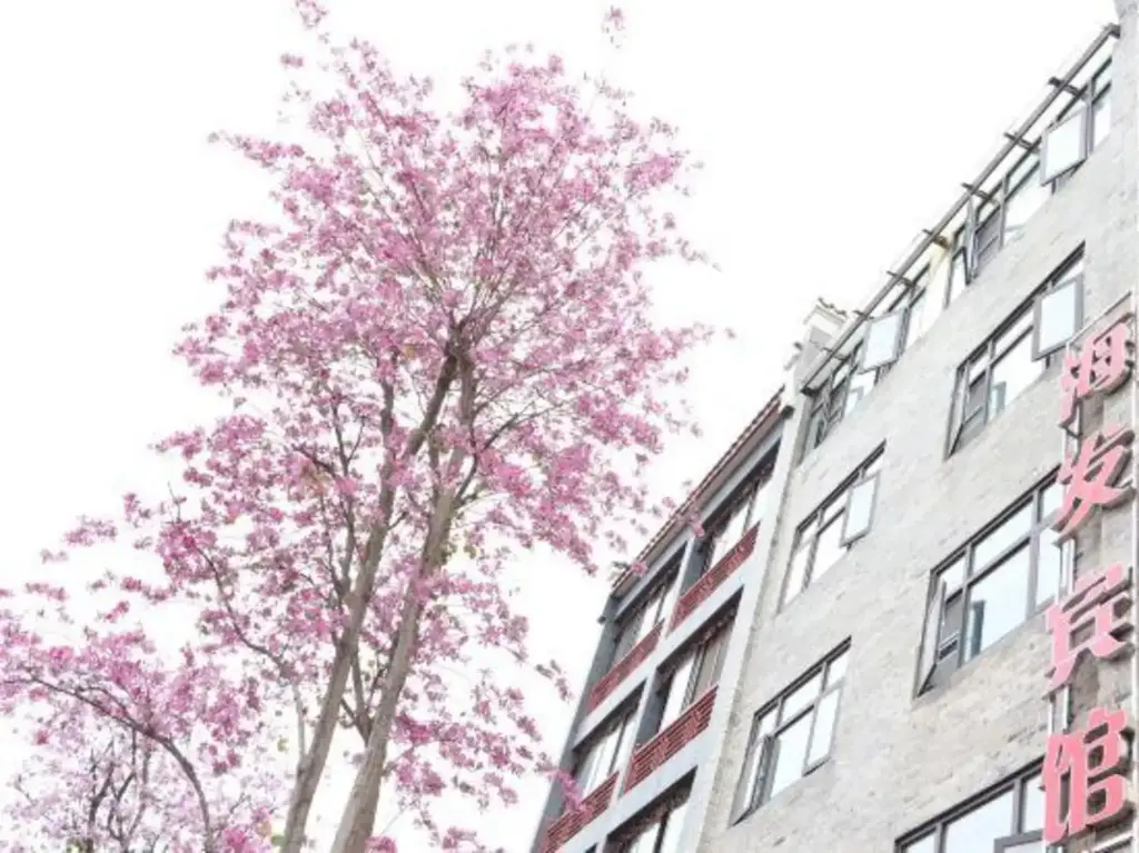 Чэнду: Luodai Haifa Hotel