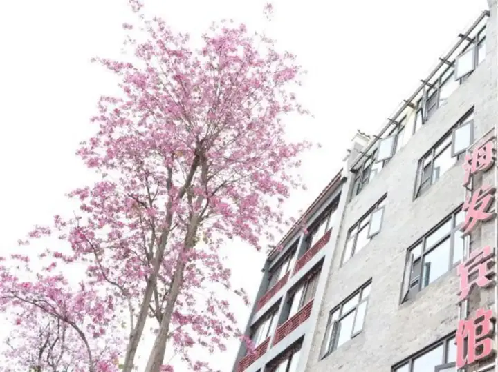 Чэнду: Luodai Haifa Hotel