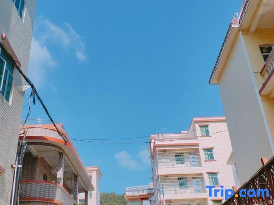 Шэньчжэнь: Miss You Guesthouse