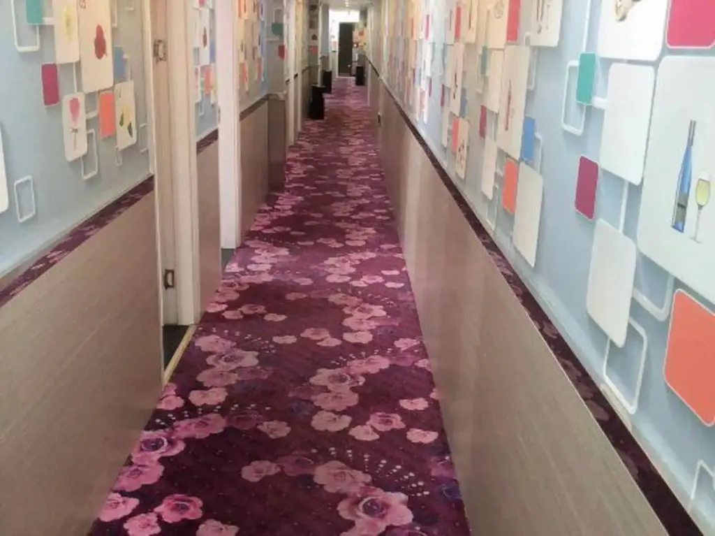 Цзясинь: Xidu Hotel