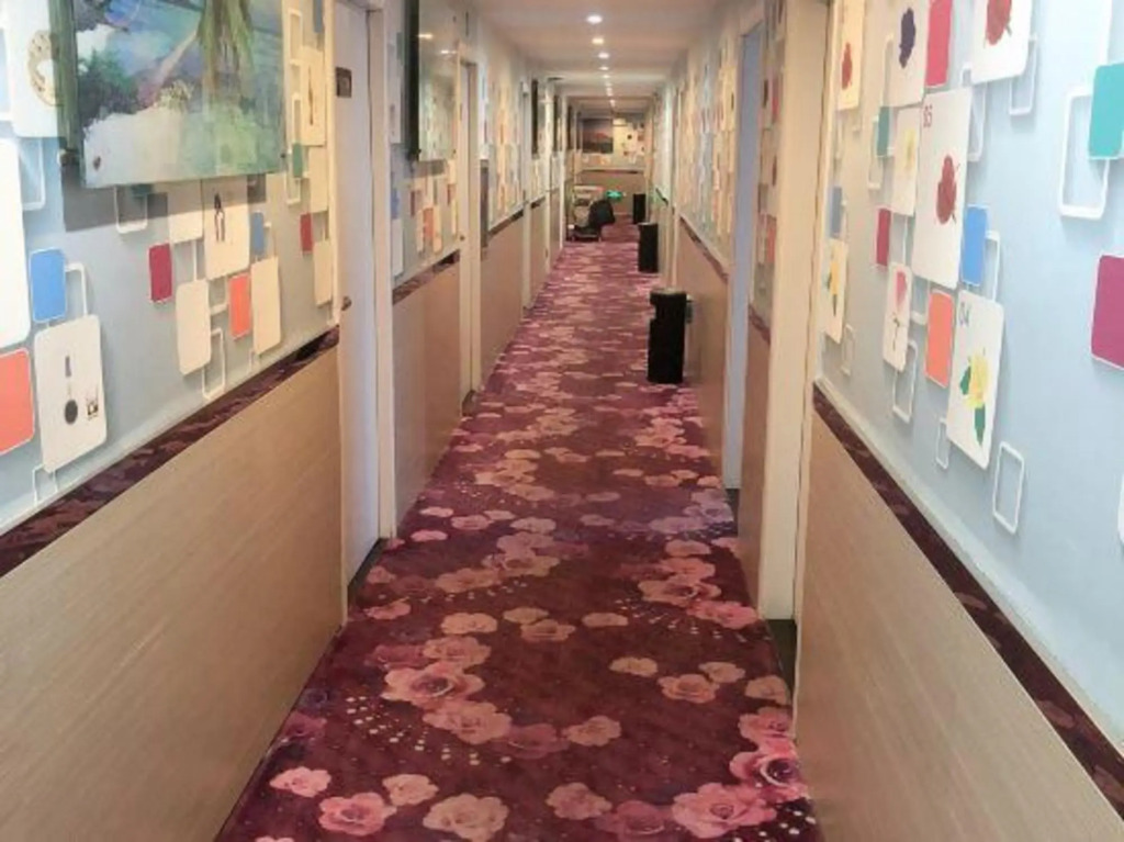 Цзясинь: Xidu Hotel