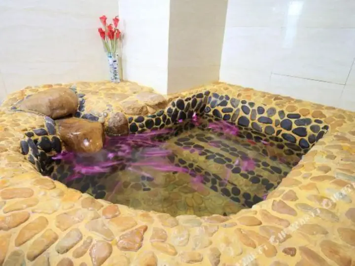 Гуанчжоу: Guang Zhou Wangjiang Hot Spring Hotel