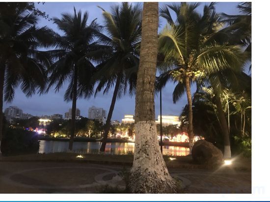 Хайкоу: Hainan Jinyu Hotel