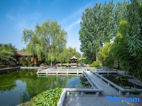 Хандань: Chishuiwan Hotel