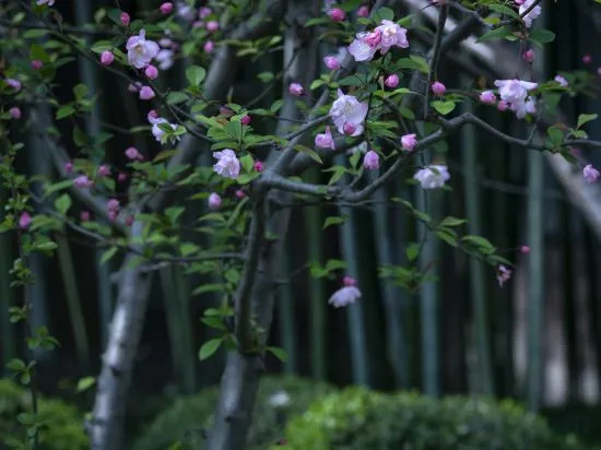 Шанхай: Xincheng Hotel