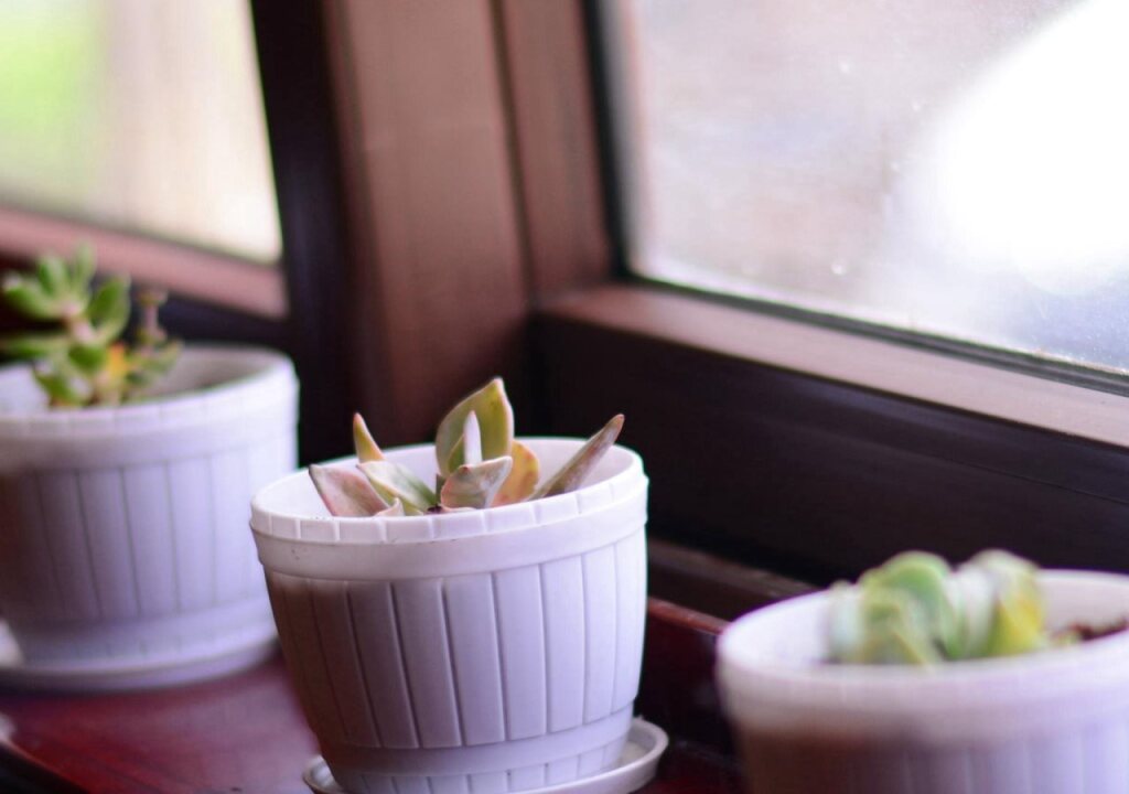 Цзючжайгоу: Jiuzhaigou Ink Memory Resort Hotel