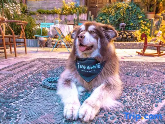 Лицзян: Anyin Private Courtyard (Lijiang Sunshine Courtyard)