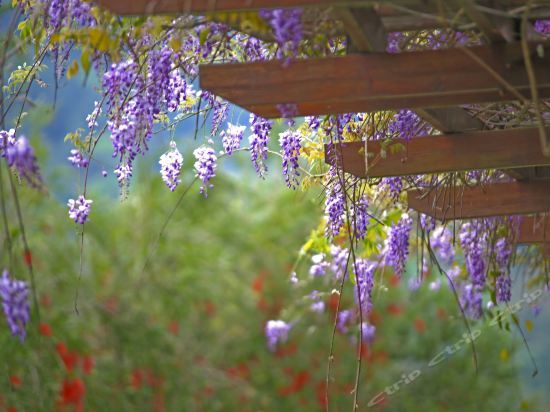 Гуанчжоу: Wenxuan Garden Leisure & Conference Hotel