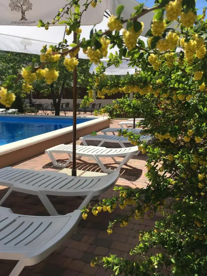 Кабардинка: Mini-hotel Platan