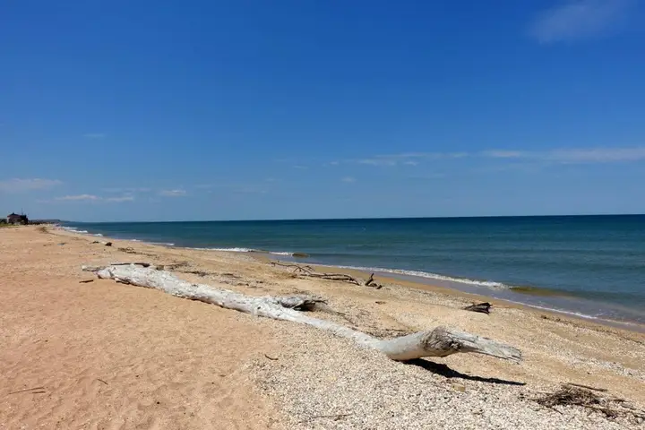 Пересыпь: Гостевой дом Южный