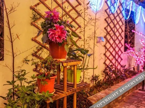 Цзясинь: Jiuqi · Xitang Guyun Boutique Garden Hotel