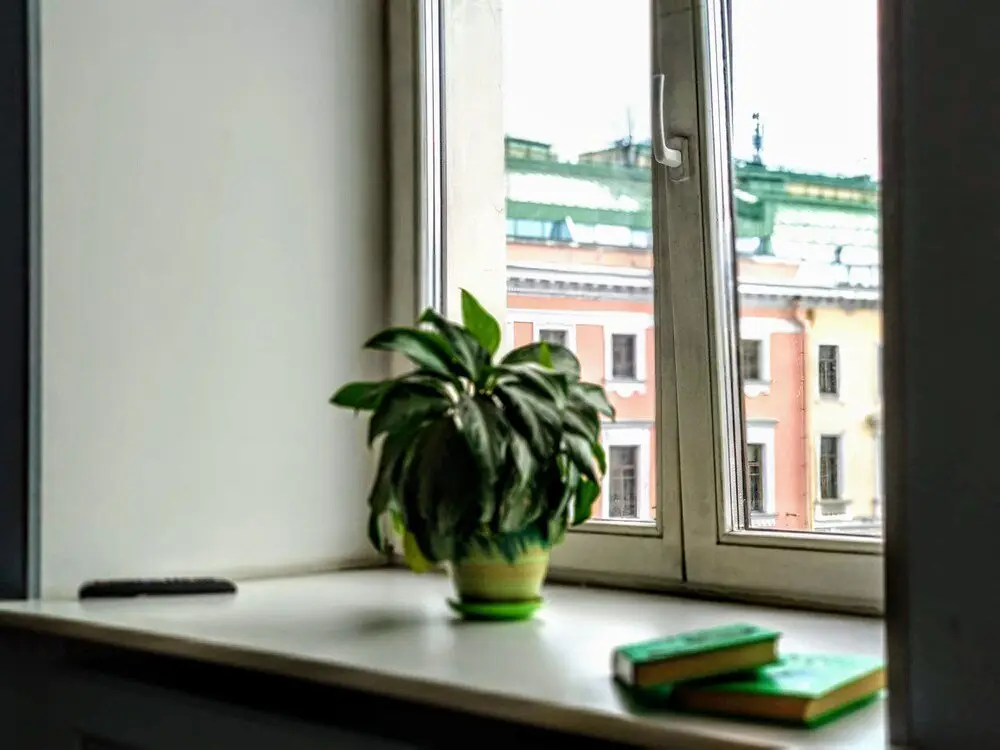 Санкт-Петербург: Art Mir na Nevskom - Hostel