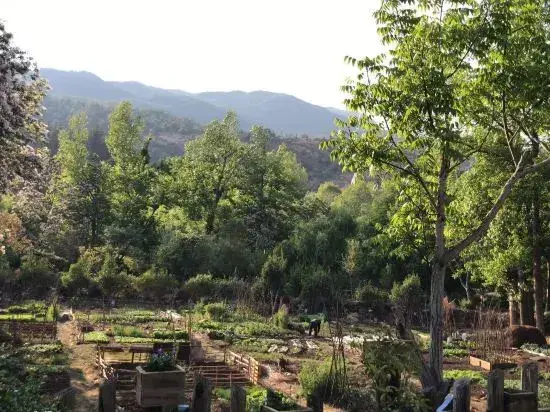 Лицзян: Lijiang Lanting Resort Inn (Shuhe Ancient Town Square Street)