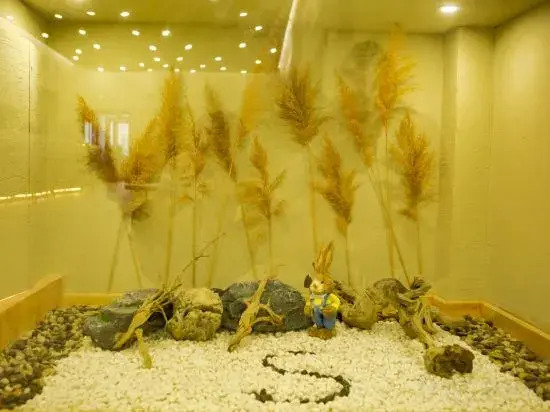 Цзюцюань: Oasis island · s Hotel (Dunhuang Shazhou night market)