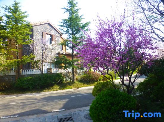 Циндао: Baden Town Hot Spring Villa