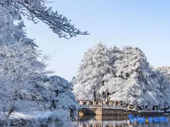 Huajingtang Hotel — фото 1