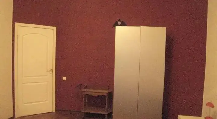 Санкт-Петербург: El rooms