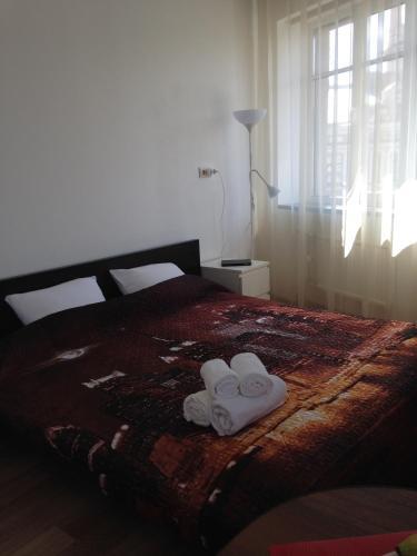 Санкт-Петербург: Guest House Nevskiy 146