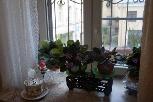 Санкт-Петербург: Guest House on Liteyny 43