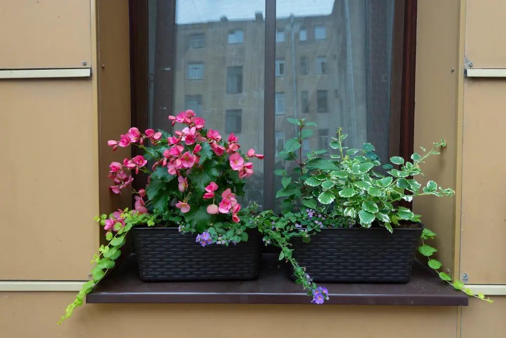 Санкт-Петербург: Жилые помещения Гостевые номера Слонъ