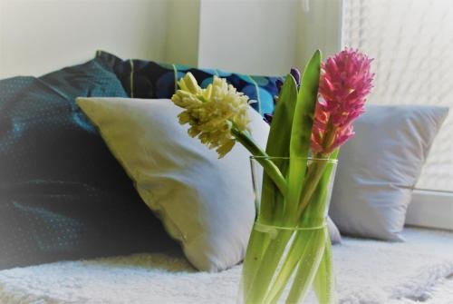 Санкт-Петербург: Twist Guest House