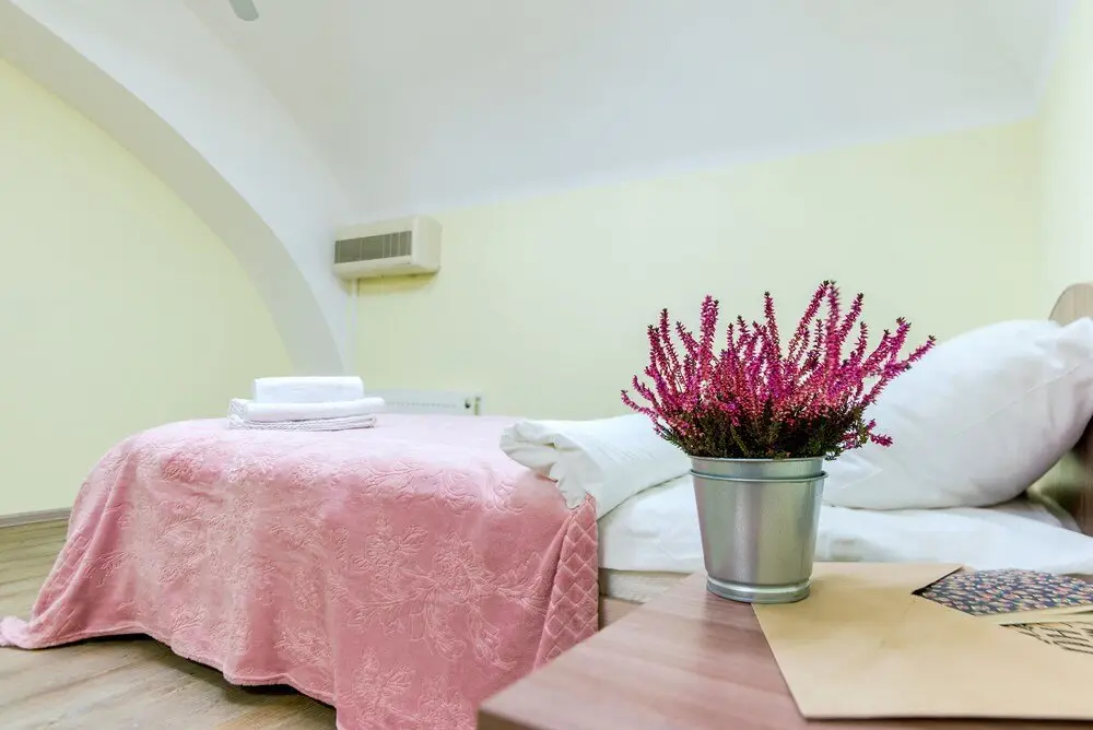 Санкт-Петербург: Apartments Millionnaya 11