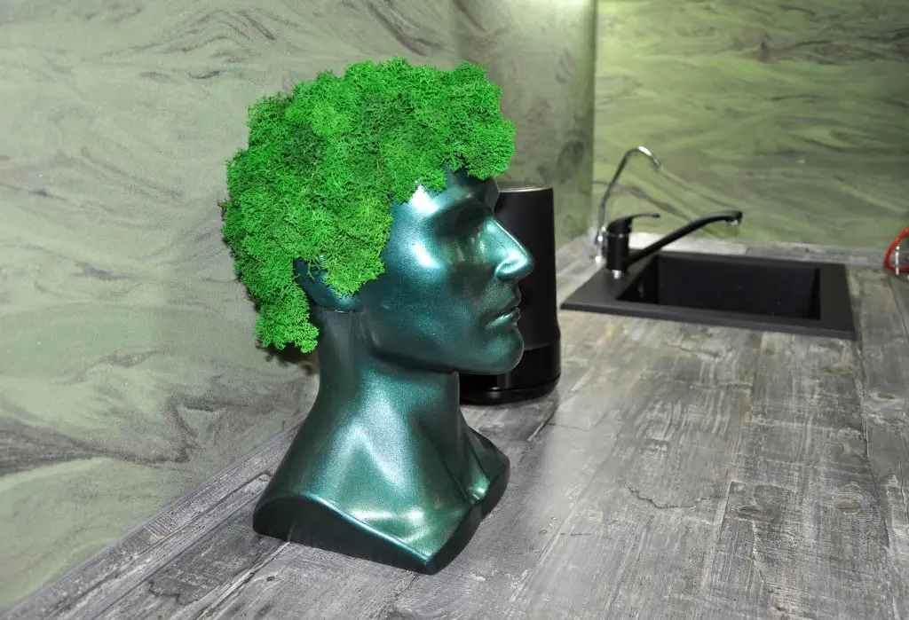 Санкт-Петербург: Апартаменты Apple Green