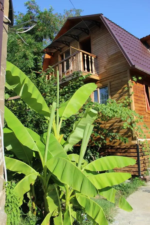 Сочи: Guest House on Magnitogorskaya 13/104