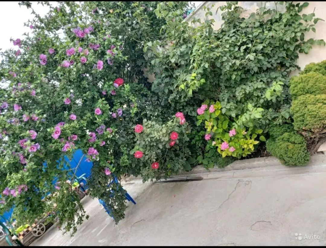 Анапа: Гостевой дом Анна
