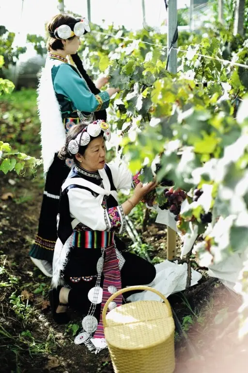 Лицзян: LUX Tea Horse Road Da Ju Village