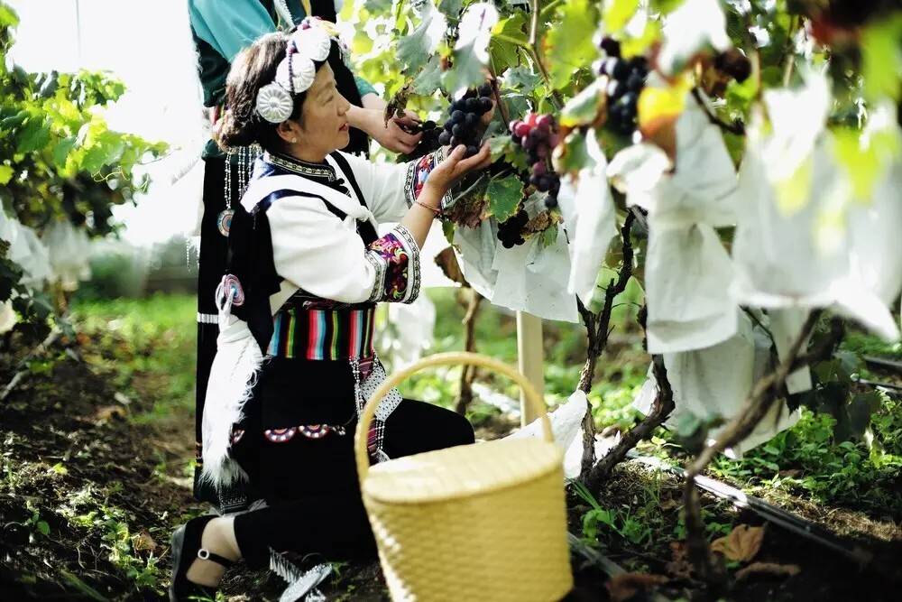 Лицзян: LUX Tea Horse Road Da Ju Village