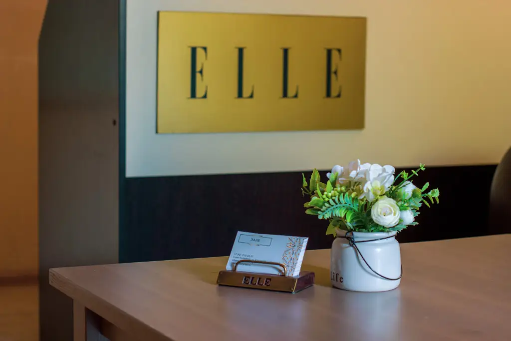 Санкт-Петербург: Меблированные комнаты Elle