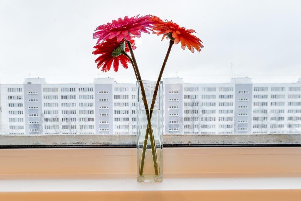 Санкт-Петербург: Sedmoe Nebo