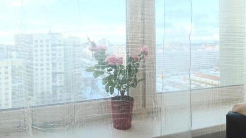 Санкт-Петербург: Apartment Evia Nord