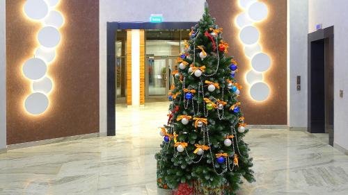 Санкт-Петербург: Apartment Evia Nord