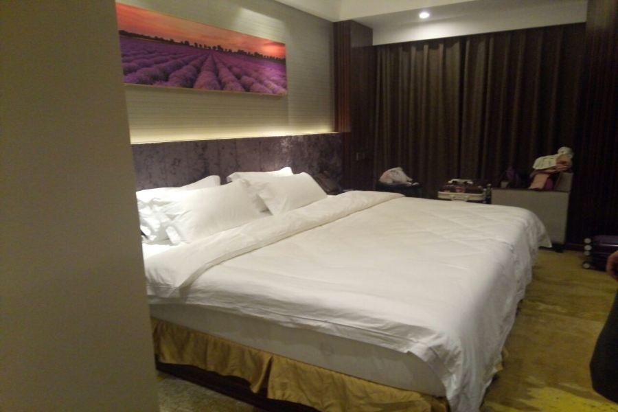 Чэнду: Lavande Hotels Chengdu University of Technology