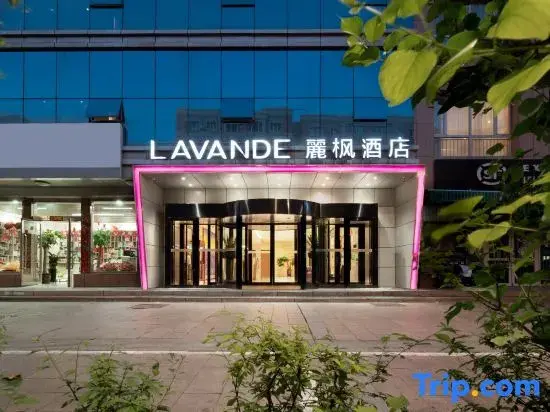 Урумчи: Lavande Hotels Urumqi Xinmin West Street Hongda Plaza