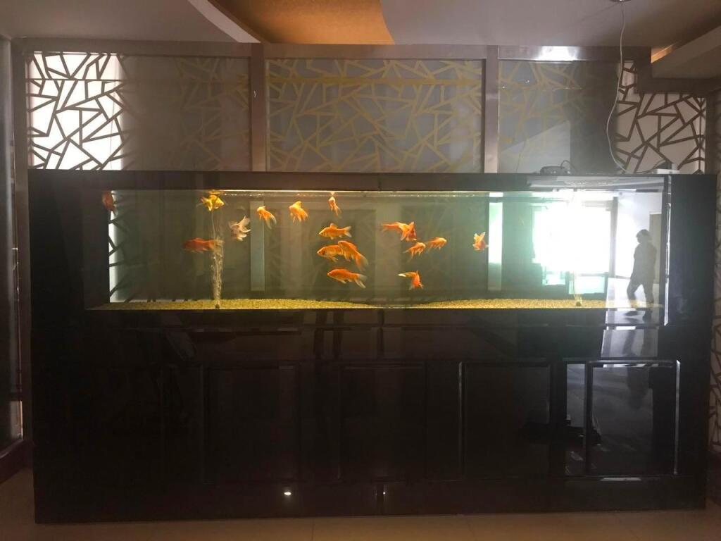Баодин: 7 Days Premium Baoding Zhuozhou Development Zone
