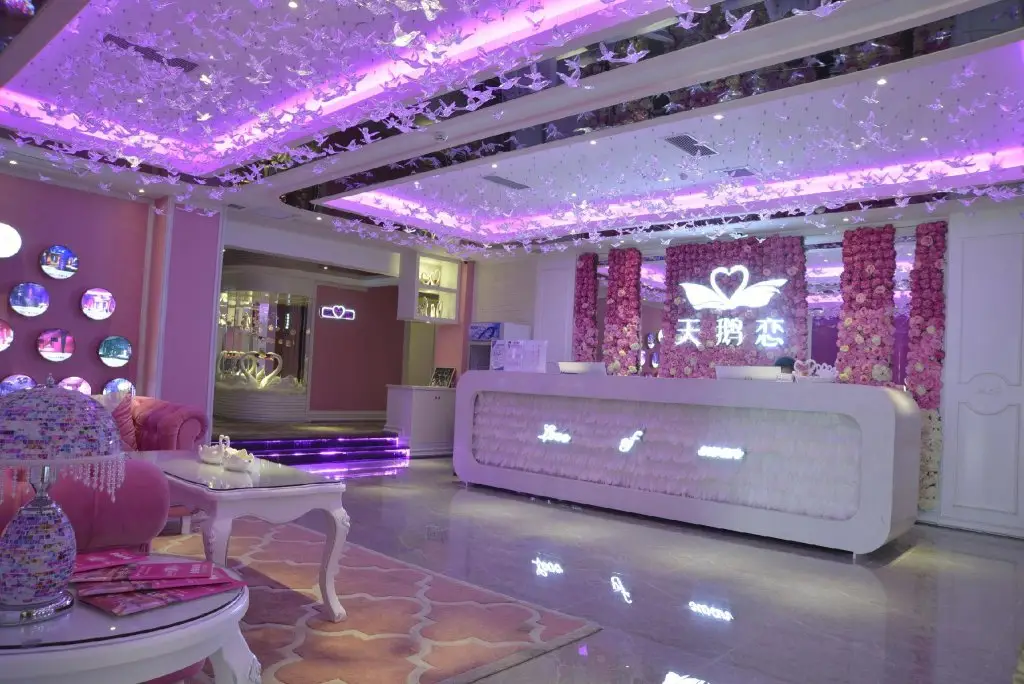 Шэньчжэнь: Swan of love Shenzhen Henggang Hotel