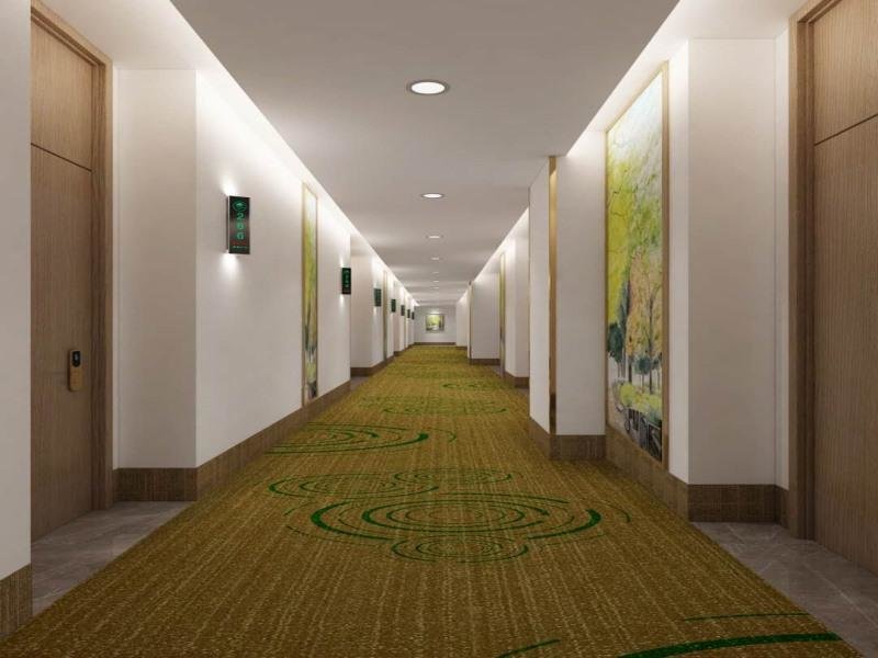 Гуйян: GreenTree Inn Guiyang Wudang District High-speed Railway East Station